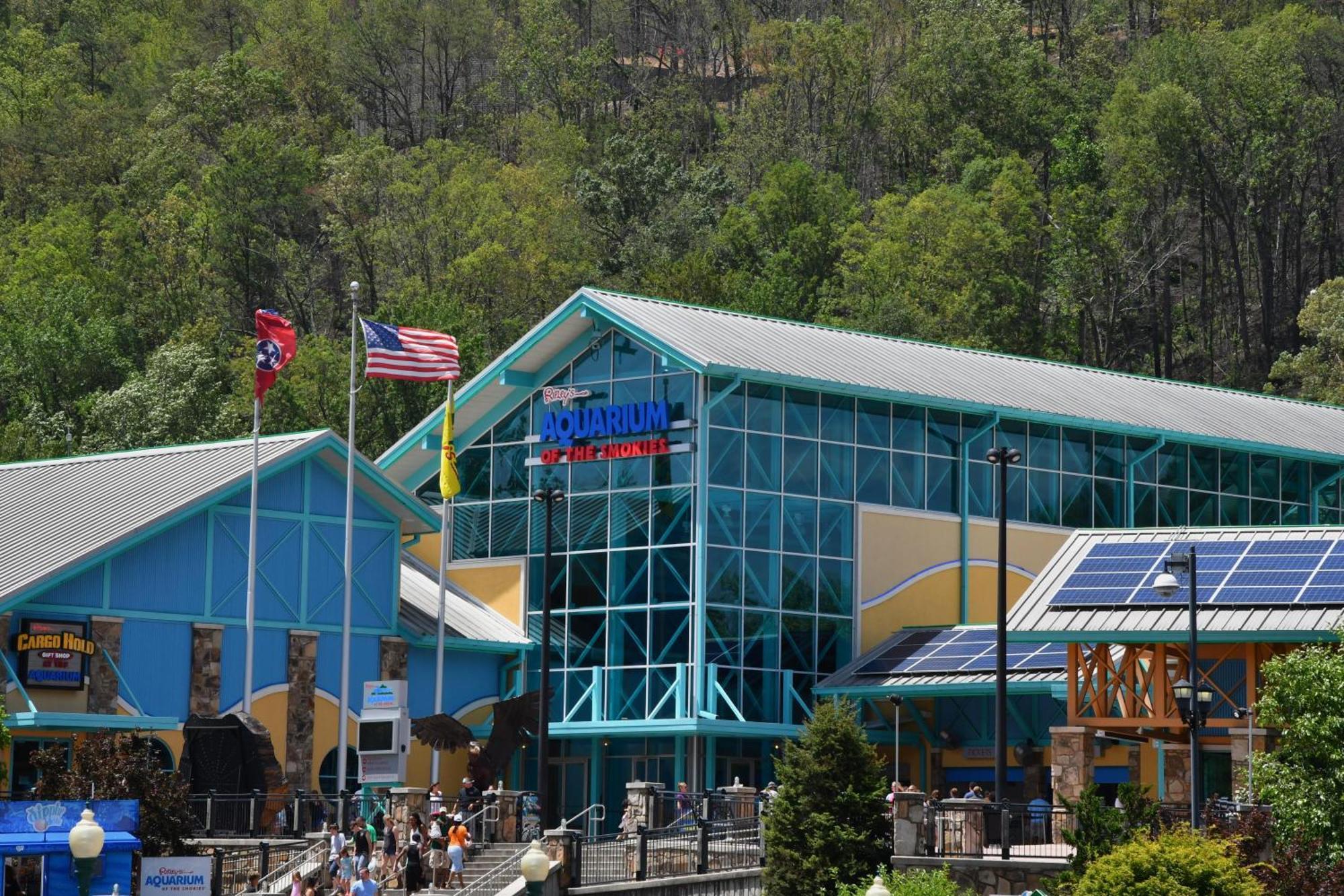 Wild Thing #1525 Vila Gatlinburg Exterior foto